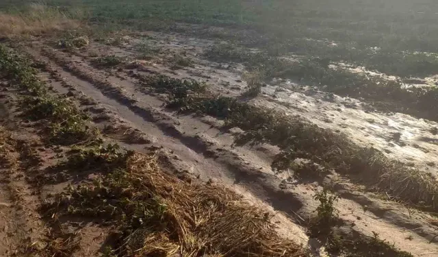 Beypazarı'nda Sel, Ekili Arazileri Vurdu