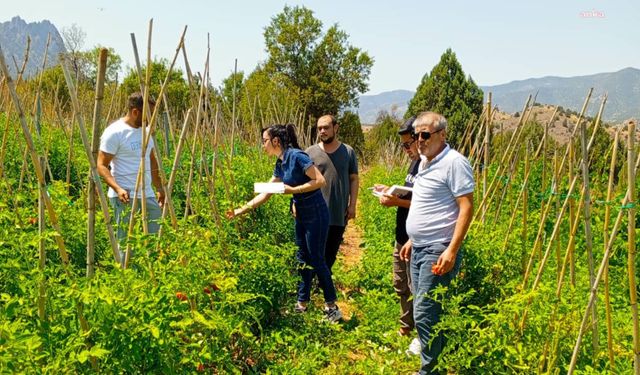 Çankaya Belediyesi'nden Organik Pazar Denetimleri