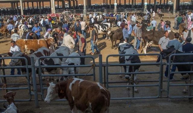 Bakanlıktan Şap Açıklaması: 24 İlde Hayvan Pazarı Açıldı