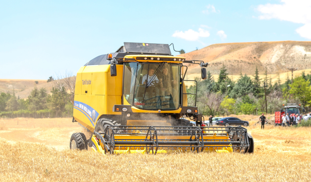 Sincan'da Çiftçiye Buğday Tohumu Desteği