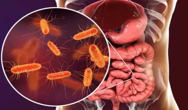 Yeni Salgın 2 Can Aldı: En Çok Çocukları Etkiliyor!