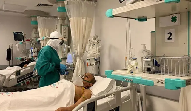 Ankara'dan Sonra Bolu'da Görüldü: 'Deli Dana' Hastalığı Şüphesi!