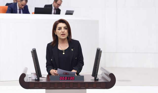 CHP’li Gülcan Kış: "Vatandaş Ev Kirasını Ödemek İçin Bile Bankalardan Borç Çekiyor"