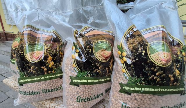 Şereflikoçhisar'da Belediye Tarlasından Ailelerin Sofrasına Nohut