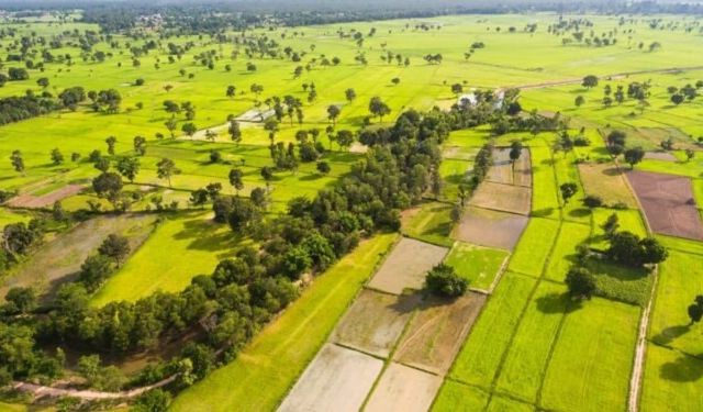 Arsa Piyasasında Yön Değişti: İşte Arsa tapu Değeri En Çok Artan 10 İl