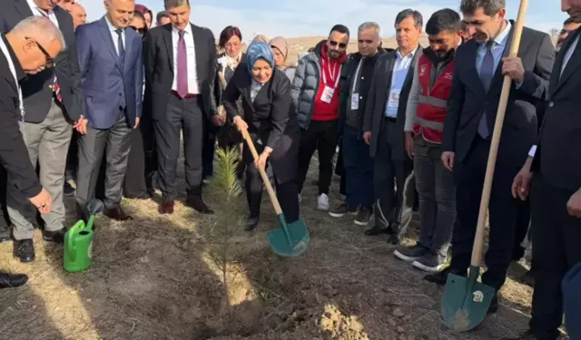 Ankara'da Öğretmenler Fidan Dikti