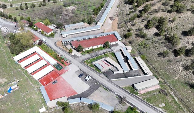 Çankaya Belediyesi Barınak Kapasitesini 1500'e Çıkardı