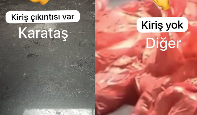 ABB’den Karataş Hayvan Bakımevi Açıklaması: Görüntüler Üç-Dört Yıl Öncesinden Özel Bir Kliniğe Ait