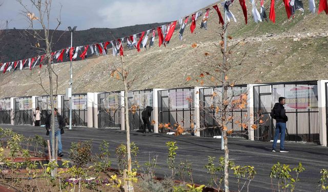 Yenimahalle'de Sokak Hayvanları Rehabilitasyon Merkezi Açıldı