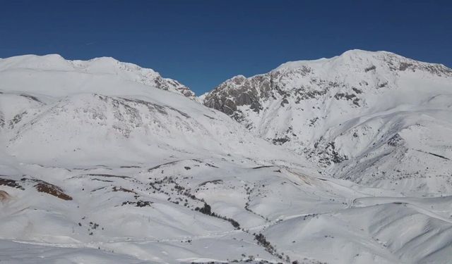 Atanamayan Öğretmen Hayvancığa Başladı