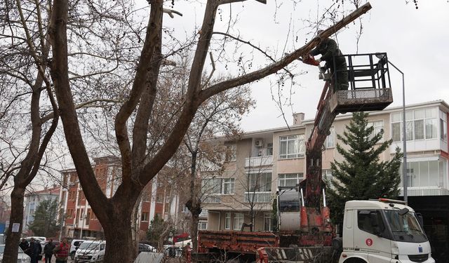 Keçiören Belediyesi, Park ve Yeşil Alanlardaki Bakım Çalışmalarını Sürdürüyor