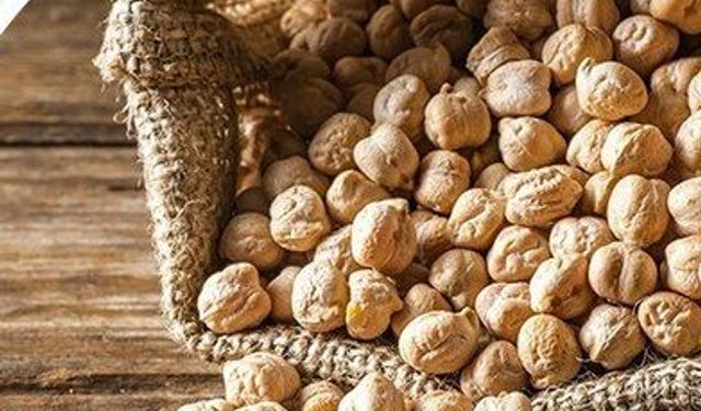 Mansur Yavaş'tan Başkentli Üreticiye Nohut Tohumu Desteği