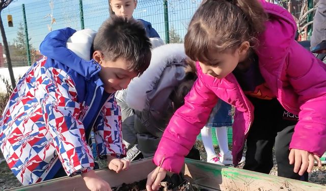 Ankaralı Minikler Yağmur Hasadı Öğrendi