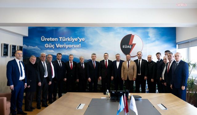 TES İŞ, Soma Termik Santrali ve Kömür Madenlerindeki Sorunları Ankara'da Dile Getirdi