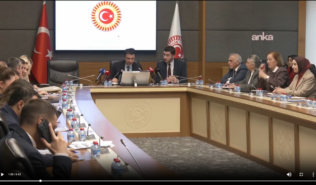 Ankara Cumhuriyet Başsavcı Vekili Akdoğan, TBMM Suça Sürüklenen Çocuklar Komisyonu'nda Sunum Yaptı