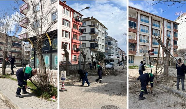 Kahramankazan'da Ağaç Budama Çalışmaları Sürüyor