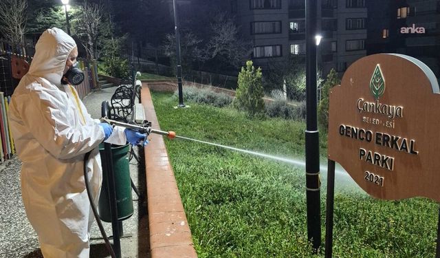 Çankaya’da Sinek ve Haşereye Karşı Gece Mesaisi