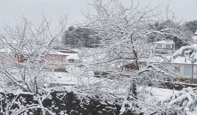 Ankara'da Nisanda Kar Yağdı