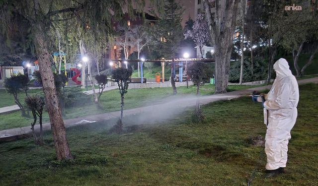 Çankaya’da Sinek ve Haşereye Karşı Gece Mesaisi Sürüyor