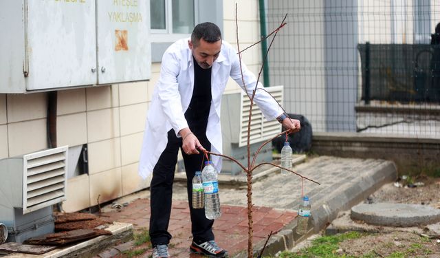 YENİMEK’te Bahçe Bitkileri ve Yeşil Alan Düzenleme Kursu Başladı