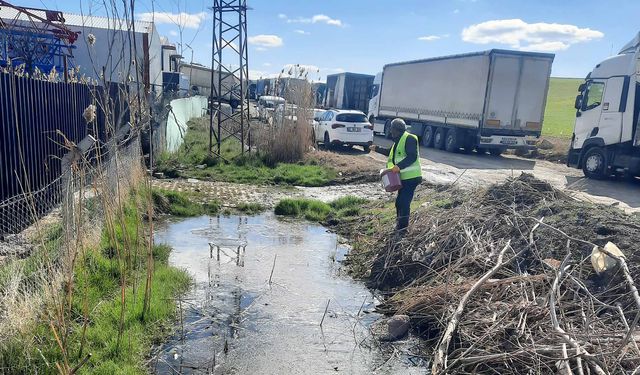 Yenimahalle’de Larva İlaçlama Çalışmaları Devam Ediyor
