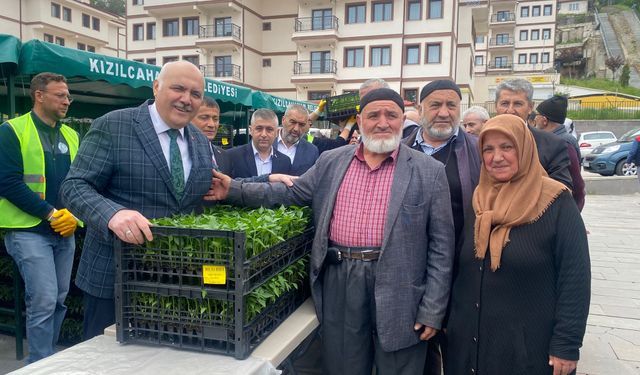 Kızılcahamam'da Üreticiye Fide Desteği