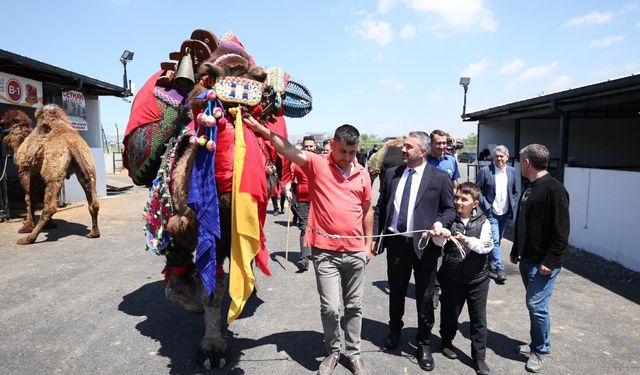 Pursaklar'da Kurban Bayramı Öncesi Kesim Provası