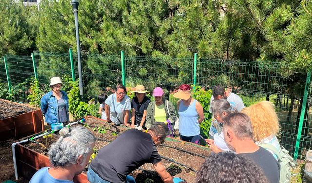 Çankaya Kent Bostanlarında Fideler Dikildi