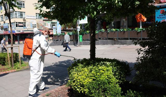 Çankaya'da Yaz Mesaisi Başladı