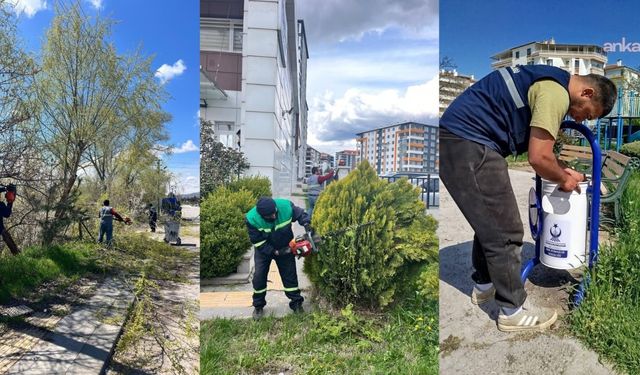 Kahramankazan Belediyesi, Çevre Düzenleme Çalışmalarını Sürdürüyor