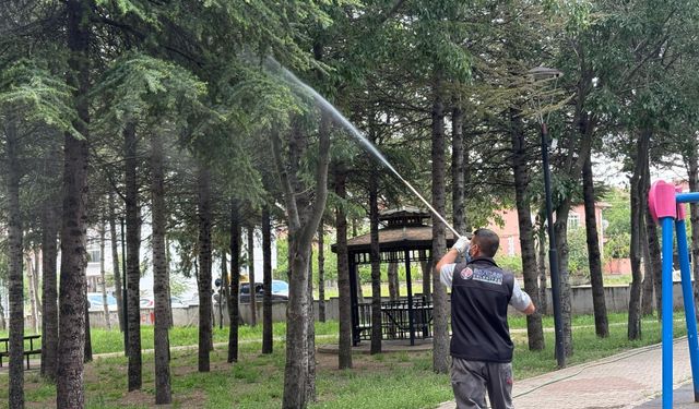 Sincan Belediyesi'nden Kapsamlı İlaçlama Çalışması
