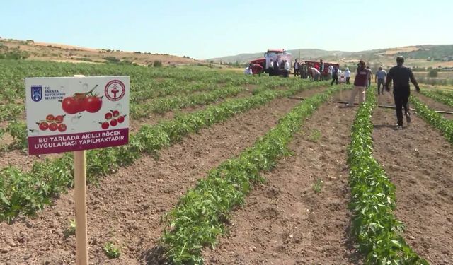 Ankara Büyükşehir Belediyesi'nden Üreticiye 'Akıllı Böcek Kiti' Desteği