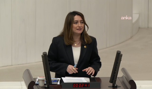 CHP'li Bankoğlu'ndan TBMM'deki İstismar Davası Kararına Tepki