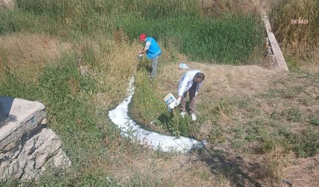 Kahramankazan'da İlaçlama Çalışmaları Sürüyor