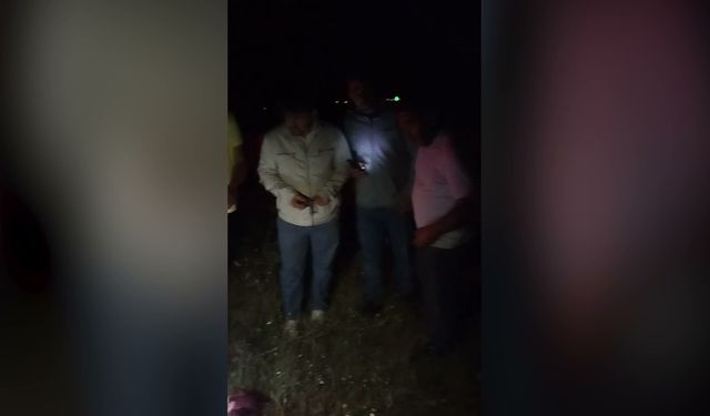 Köpeği Satırla Öldüren Kişi Tutuklandı