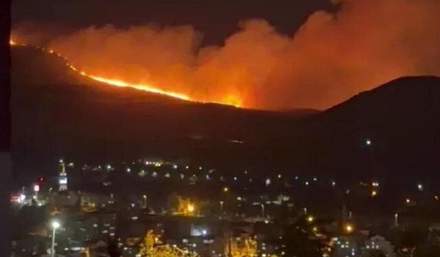 Ankara’da Ağaçlık Alanda Yangın Çıktı