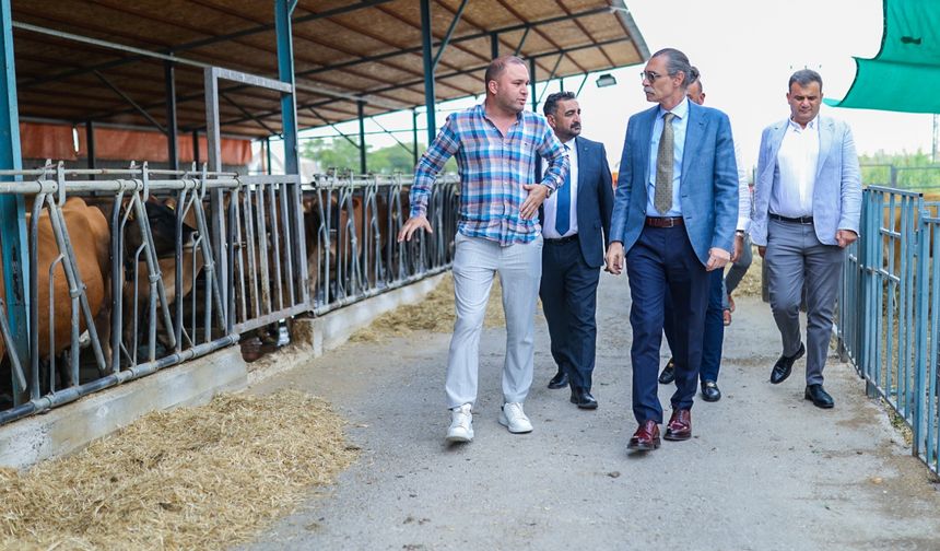 Etimesgut Belediye Başkanı Beşikçioğlu'ndan, Sincan Hayvancılık Bölgesine Ziyaret
