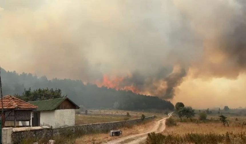 Ankara Kızılcahamam'da Orman Yangını! Bolu'ya Sıçradı