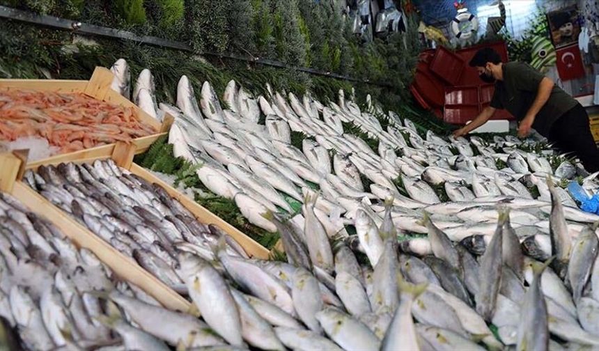 Denizlerde Av Yasağı Kalktı, Balıkçılar Ağ Attı