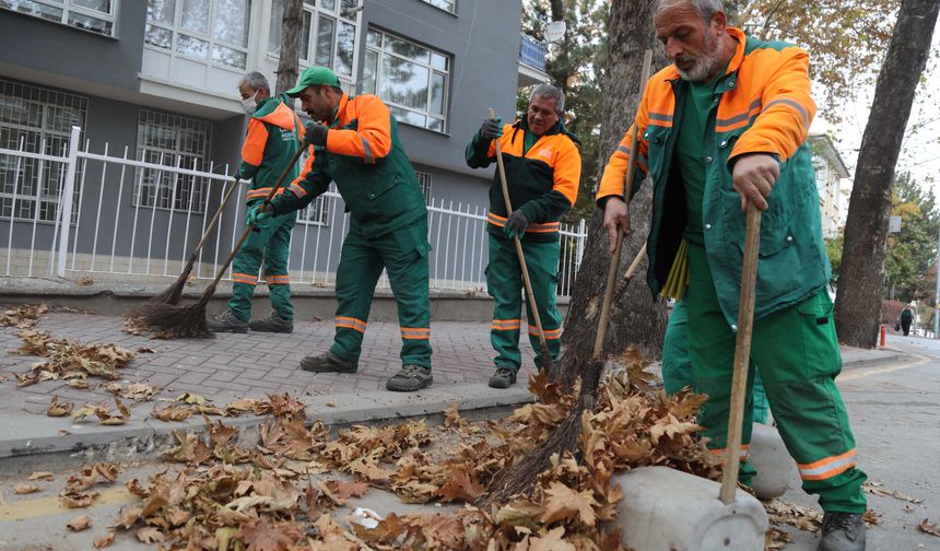 Çankaya'da Sonbahar Temizliği