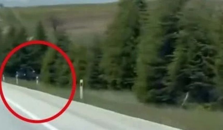 Tuzak Değil de Ne! Ağaçların İçine Gizli Radar Kuruldu