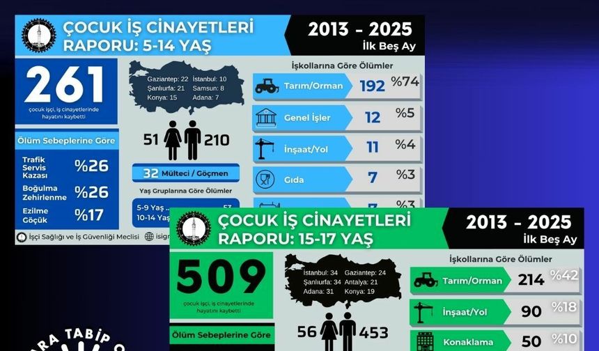 Ankara Tabip Odası'ndan 'Çocuk İşçiliği' Açıklaması