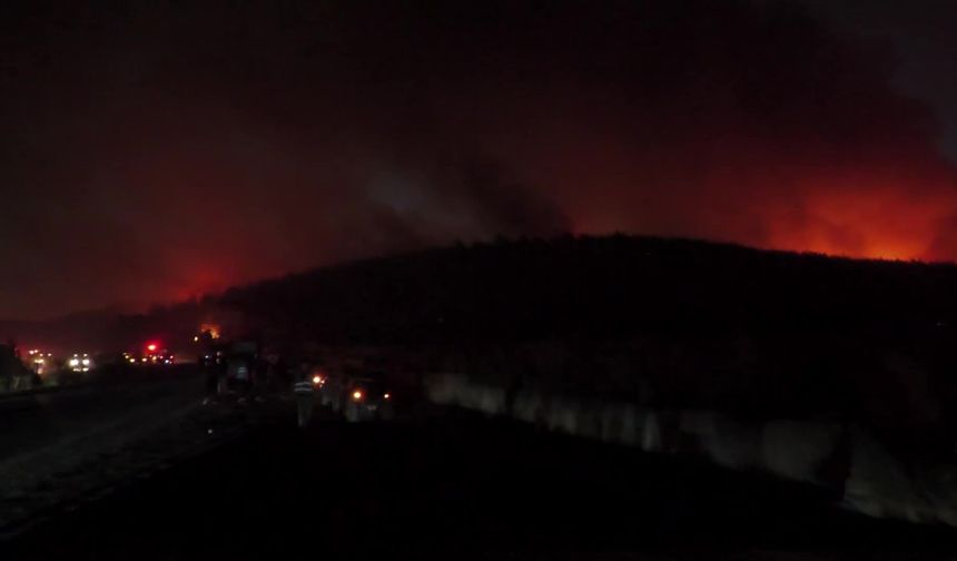 Buca’da Orman Yangını: 2 Kişi Gözaltında