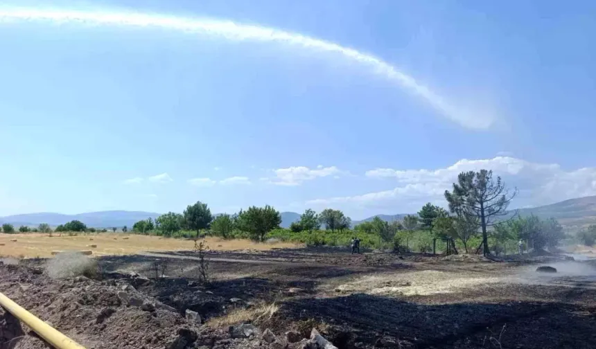 Beypazarı'nda Buğday Tarlası Yandı
