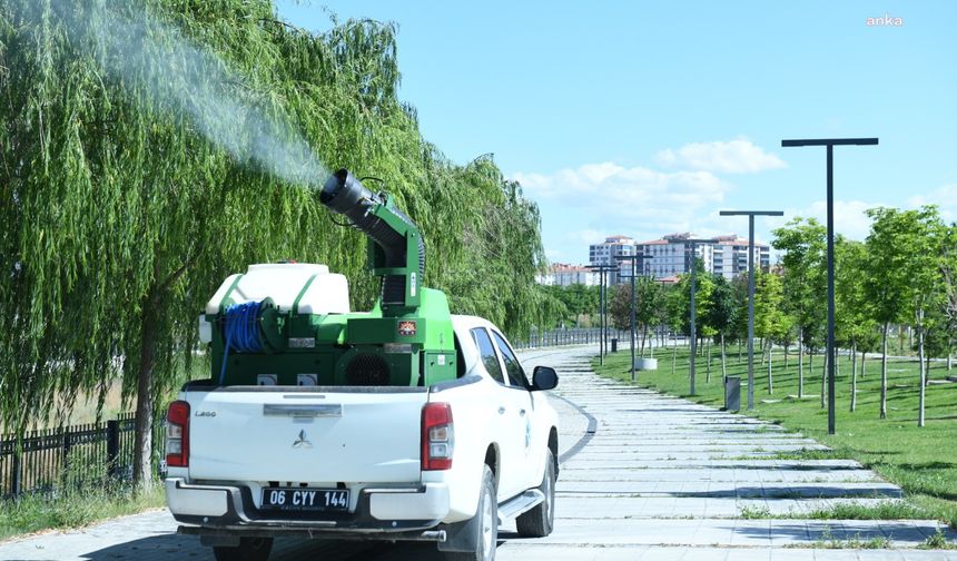 Kahramankazan Belediyesi, Vektörle Mücadele Çalışmalarına Hız Verdi