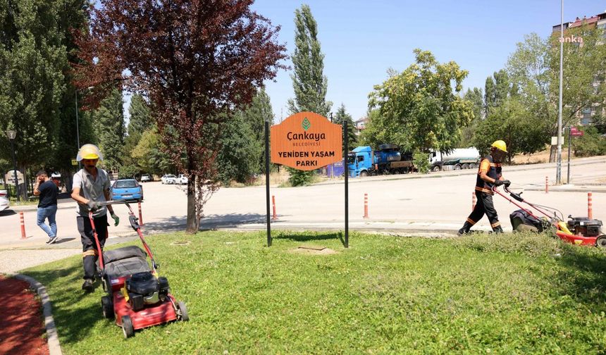 Çankaya Belediyesi, Yeşil Alan Bakım Çalışmalarını Sürdürüyor