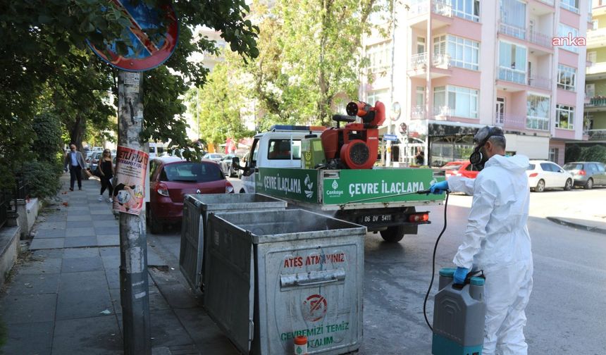 Çankaya'da Belediyenin İlaçlama Çalışmaları Sürüyor
