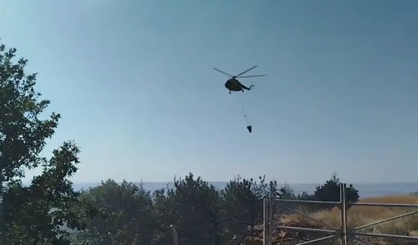 Bala'da Orman Yangını Çıktı