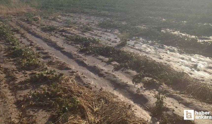 Beypazarı'nda Sel Tarım Arazilerine Zarar Verdi