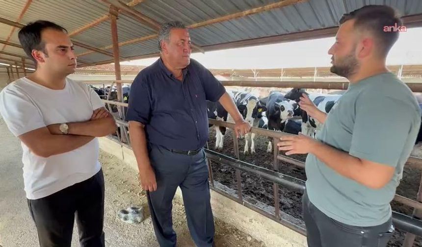 Ömer Fethi Gürer: "Hayvancılık Ciddi Bir Krizle Karşı Karşıya"